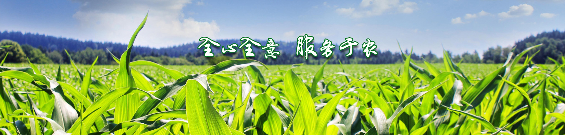 大慶鴻源運(yùn)輸有限公司|大慶危險(xiǎn)品運(yùn)輸|大慶汽車(chē)租賃|大慶設(shè)備租賃|大慶道路危險(xiǎn)貨物運(yùn)輸|大慶運(yùn)輸|危險(xiǎn)品運(yùn)輸|危貨運(yùn)輸|大慶危貨運(yùn)輸|危險(xiǎn)品運(yùn)輸公司|道路危險(xiǎn)品運(yùn)輸